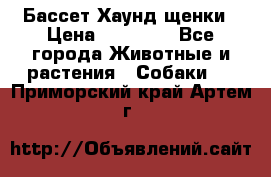 Бассет Хаунд щенки › Цена ­ 20 000 - Все города Животные и растения » Собаки   . Приморский край,Артем г.